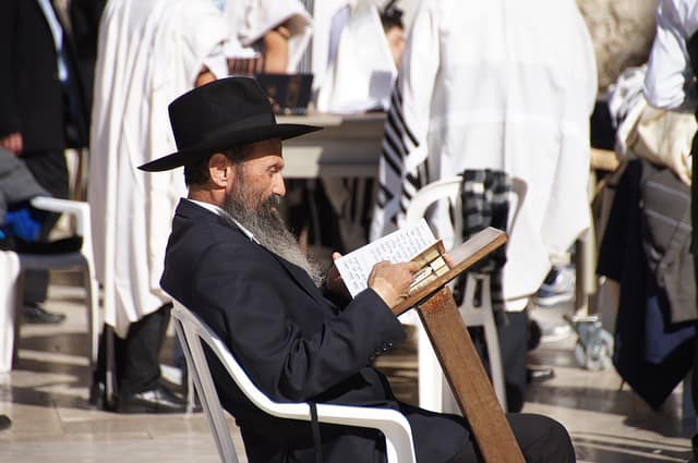 לימודי חרדים