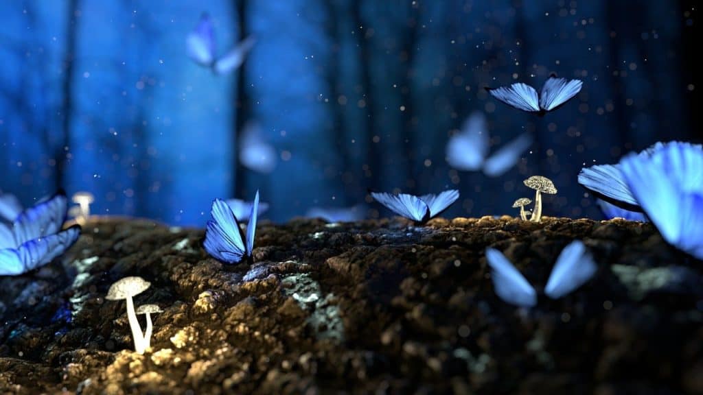 Magic