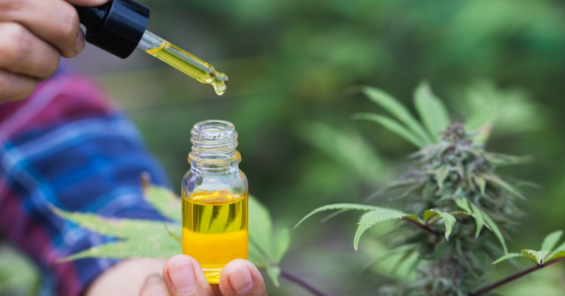מיתוסים נפוצים על CBD