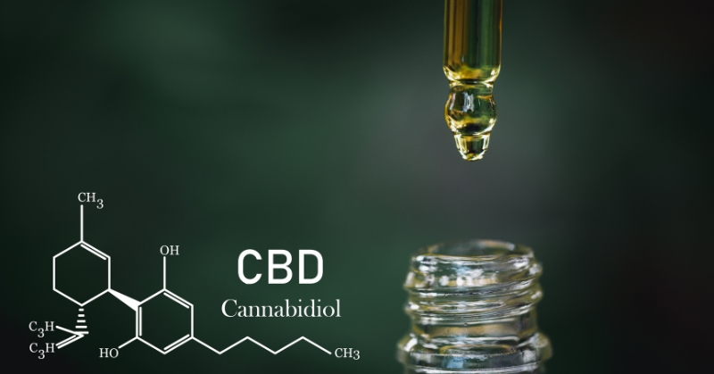 CBD: מה זה, איך זה עובד, ולמי זה מתאים?